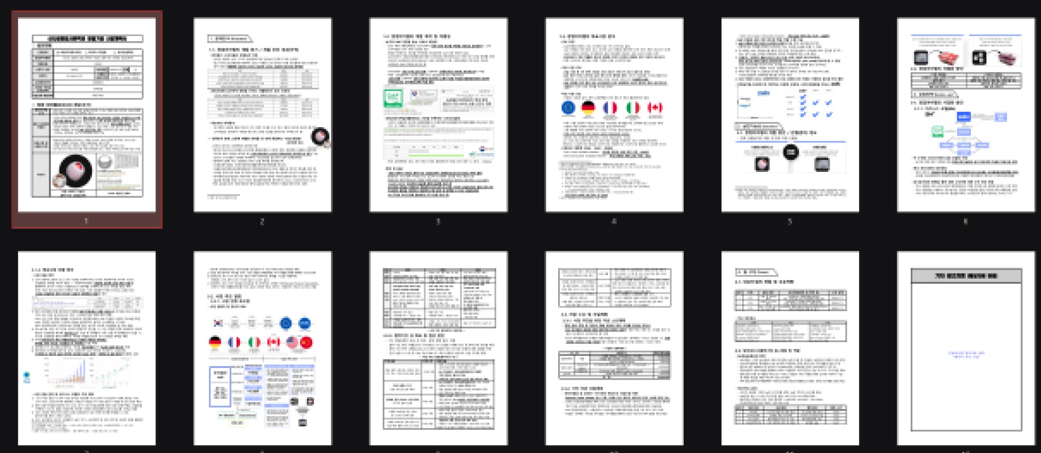 ZOLV 신사업창업사관학교 선정 사업계획서